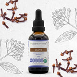 Clove Tincture
