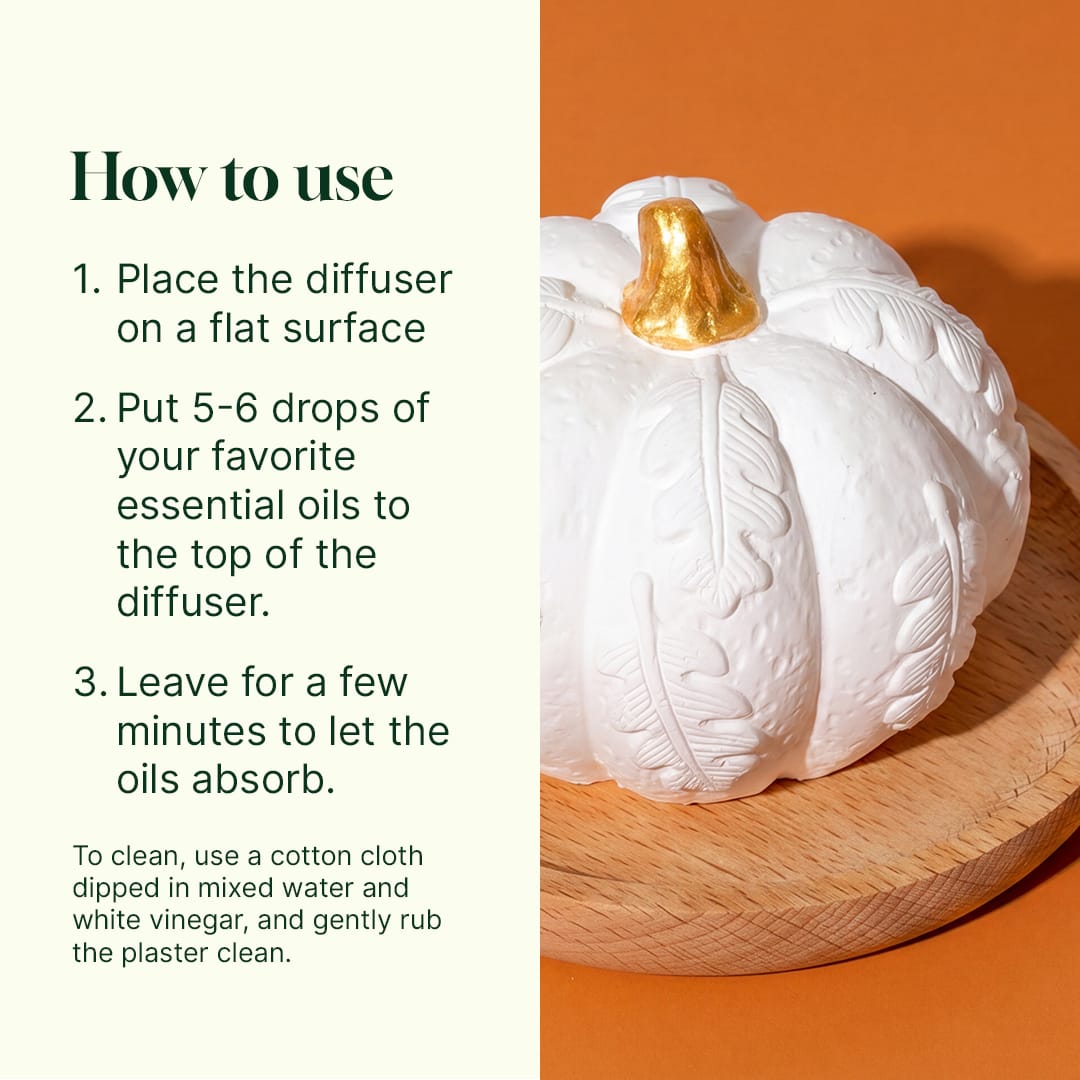 Pumpkin Passive Diffuser