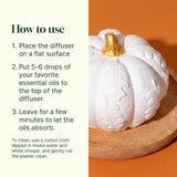 Pumpkin Passive Diffuser