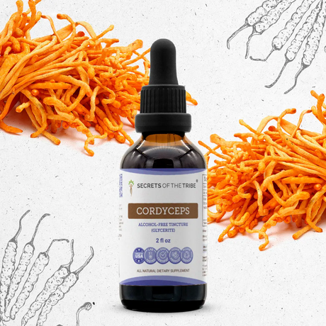 Secrets of the Tribe Cordyceps Tincture