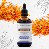Cordyceps Tincture