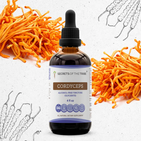Secrets of the Tribe Cordyceps Tincture