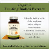 Organic Cordyceps Mushroom