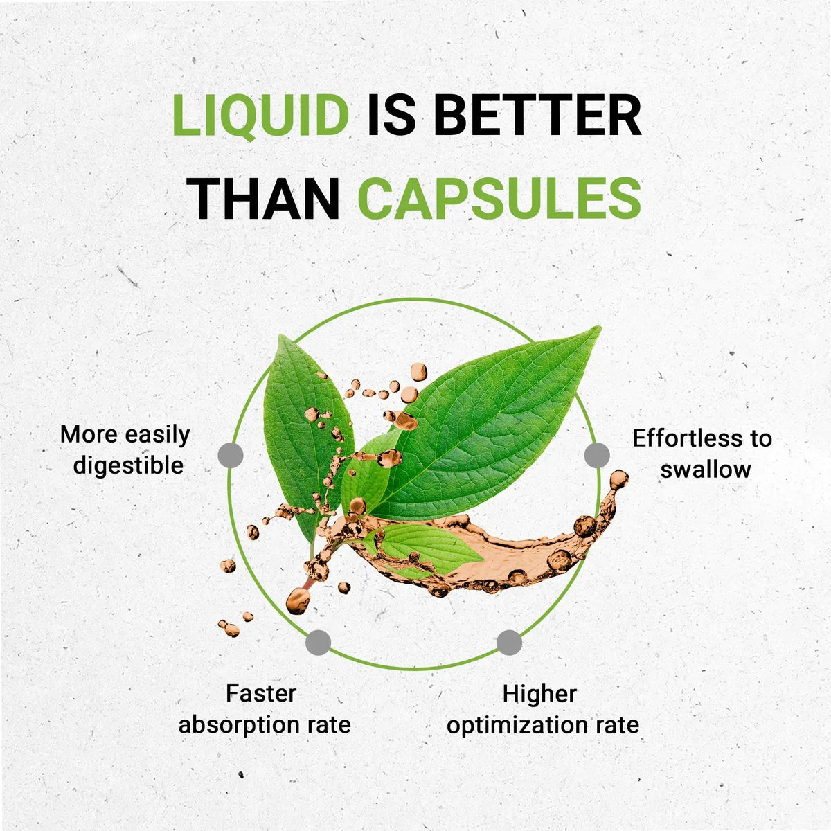 Cryptolepis Tincture