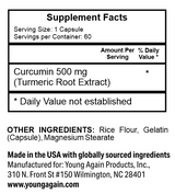 Curcumin - Source of Natural Antioxidant