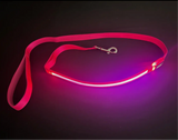 Light Up LED Dog Leash: Blue