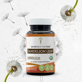 Dandelion Leaf Capsules