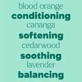 Detangler Frizz-Taming Spray