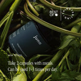 Digestive Enzymes