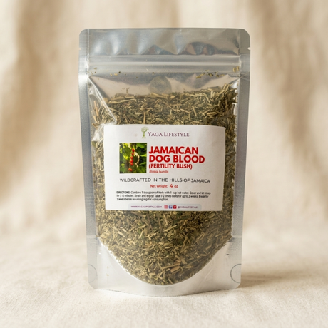 Yaga Lifestyle Jamaican Dog Blood Bush | Fertility Herb | Rivinia Humilis
