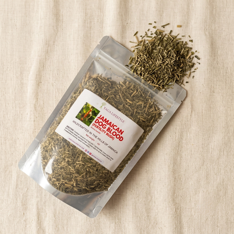 Yaga Lifestyle Jamaican Dog Blood Bush | Fertility Herb | Rivinia Humilis