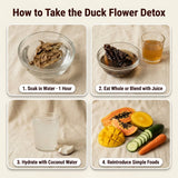 Yaga Lifestyle Duck Flower Detox - Flor de Pato, Palo Guaco, Dr Sebi Approved Alkaline Herbal Cleanse