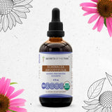 Echinacea Angustifolia Tincture