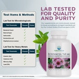Nature's Lab Echinacea 760 mg - 100 Capsules