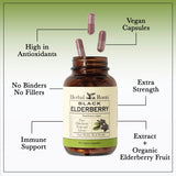 Black Elderberry