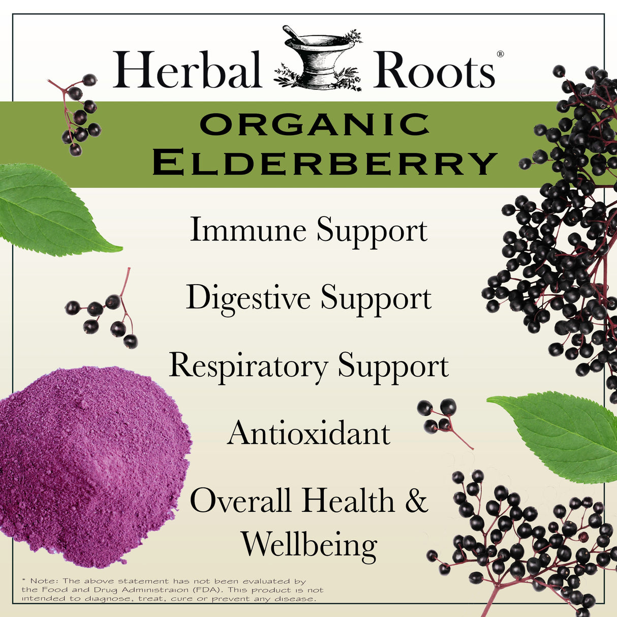 Black Elderberry