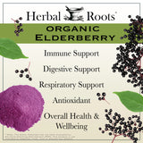 Black Elderberry