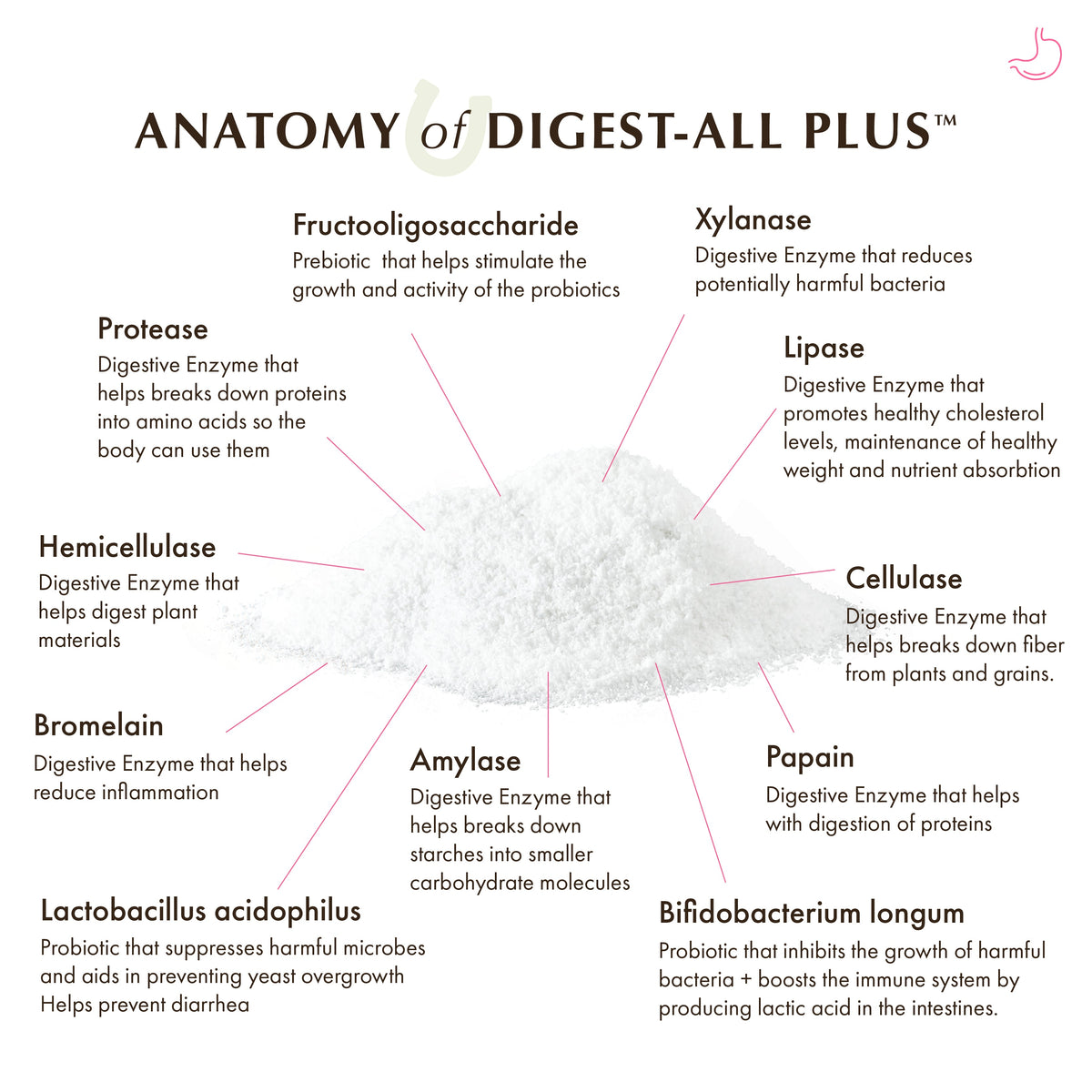 Equine Digest-All Plus