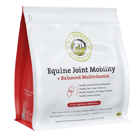Equine Joint Mobility