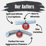Elk Antler Dog Chews | All-Natural Whole and Split Elk Antler Chews for Dogs