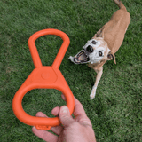 Chew Toys