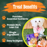 Halloween Dog Treat Snack Pack Bundle