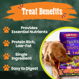 Halloween 31 Snack Pack Dog Treat Box