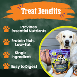 Trick or Treat Chip Mix Halloween Dog Treats