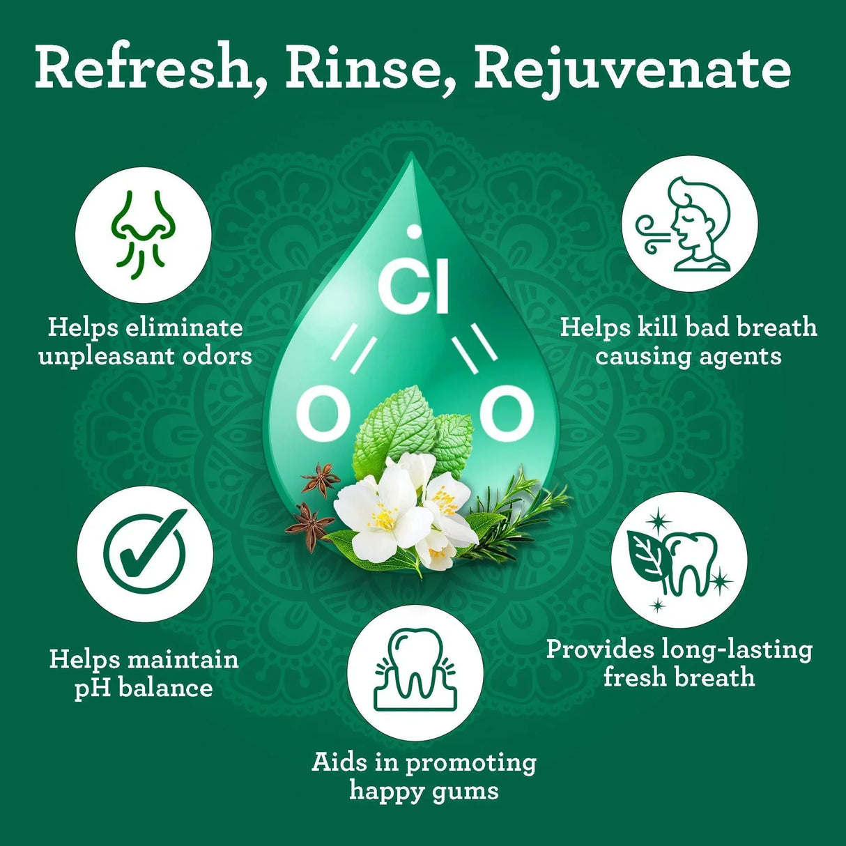 Dual Barrel Breath Harmonizer Mouthwash, Wild Mint