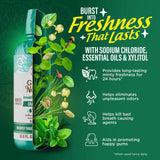 Fresh Breath Harmonizer Oral Rinse, Wild Mint