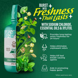 Fresh Breath Harmonizer Oral Rinse, Wild Mint