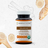 Secrets of the Tribe Galangal Capsules