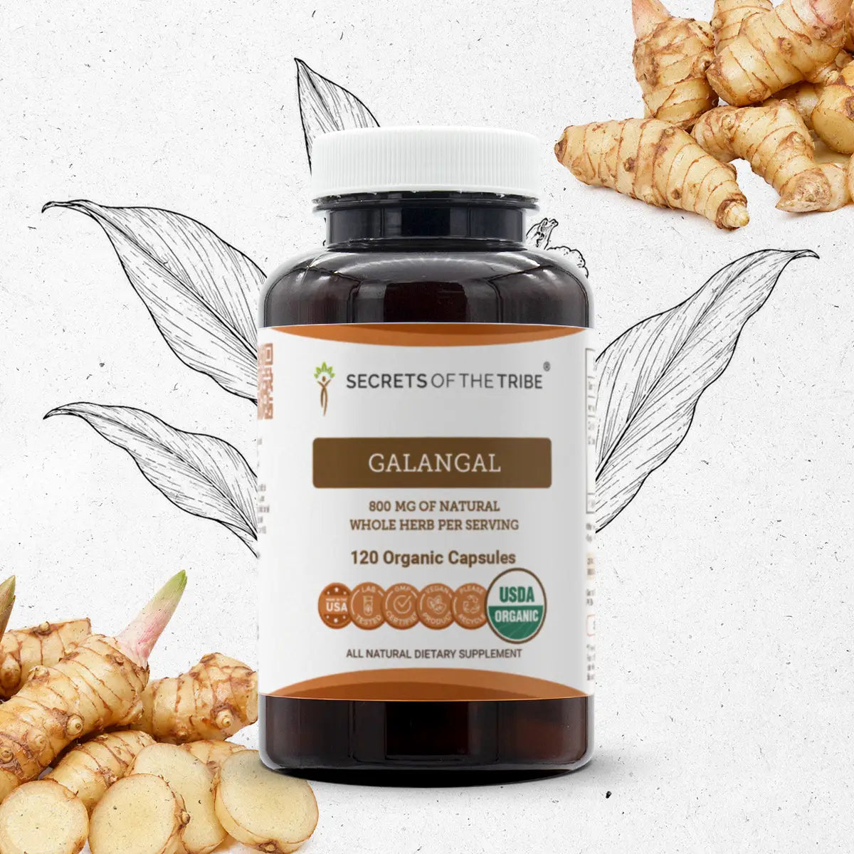 Secrets of the Tribe Galangal Capsules