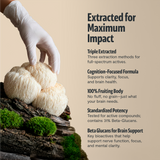 Organic Lion’s Mane Capsules