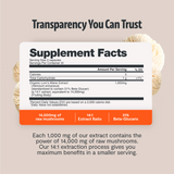Organic Lion’s Mane Capsules