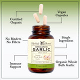 Organic Whole Bulb Garlic