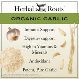 Organic Whole Bulb Garlic