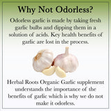 Organic Whole Bulb Garlic