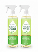 Everyday Multi-Surface Cleaner