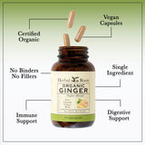 Organic Ginger