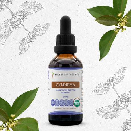 Secrets of the Tribe Gymnema Tincture