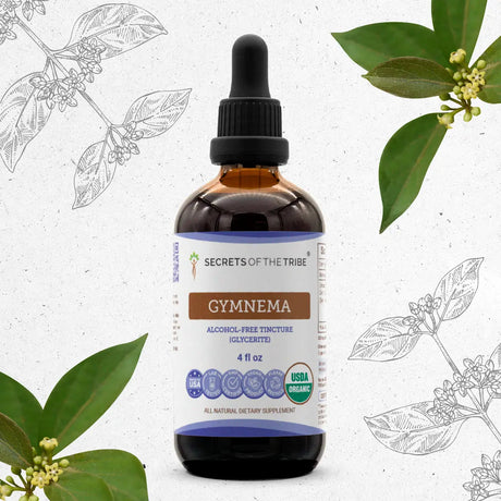 Secrets of the Tribe Gymnema Tincture
