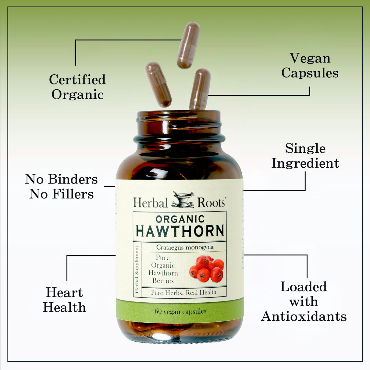 Organic Hawthorn Berry