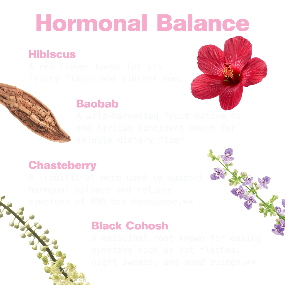 Her Power Superfood Drink Mix