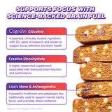 High Protein Variety Pack