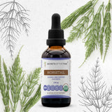 Horsetail Tincture