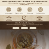 Yaga Lifestyle Jamaican Guava Leaf Tea | Organic