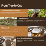 Yaga Lifestyle Jamaican Guava Leaf Tea | Organic