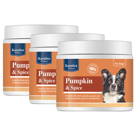 Pumpkin & Spice Powder Topper - 7 oz