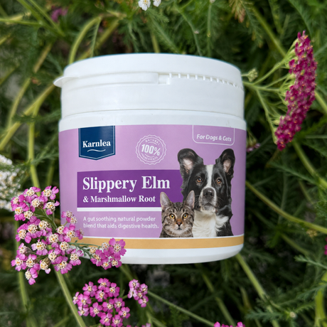 Slippery Elm & Marshmallow Root Powder Topper - 3.5 oz